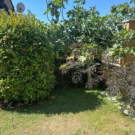 студио марина вил Apartman *