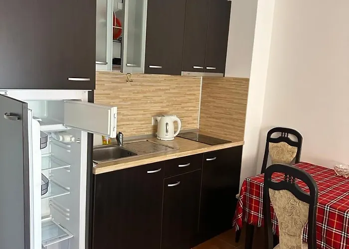 студио марина вил